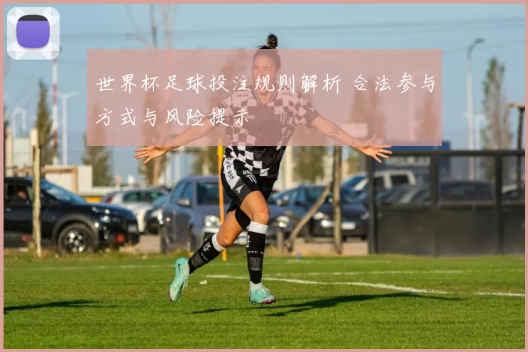 世界杯足球投注规则解析 合法参与方式与风险提示