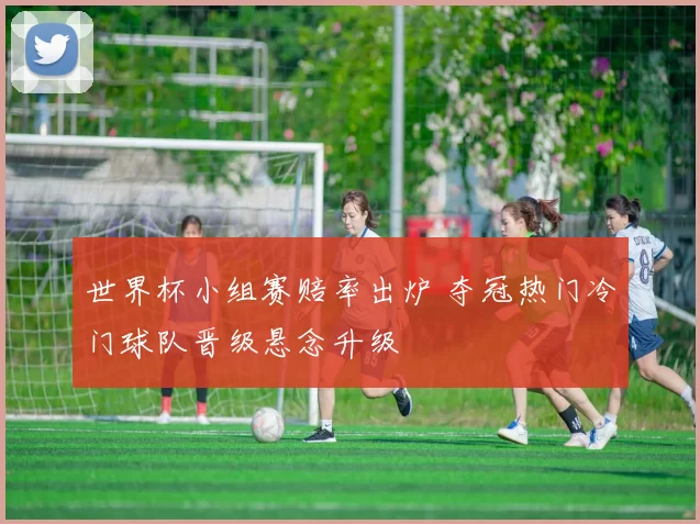 世界杯小组赛赔率出炉 夺冠热门冷门球队晋级悬念升级