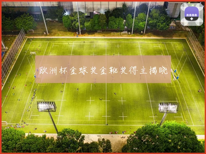 欧洲杯金球奖金靴奖得主揭晓