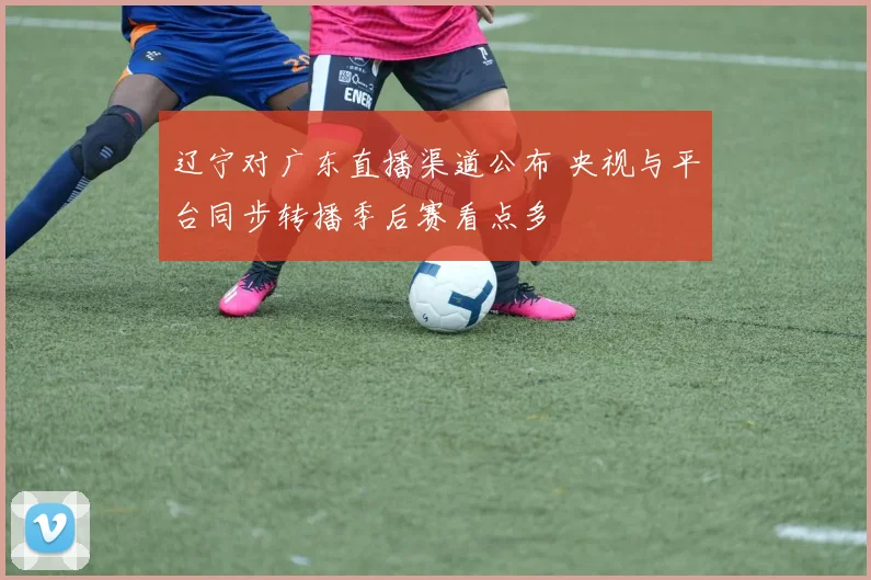 辽宁对广东直播渠道公布 央视与平台同步转播季后赛看点多