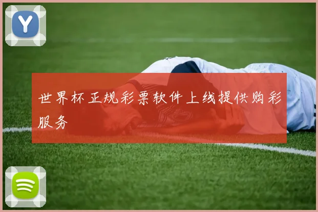 世界杯正规彩票软件上线提供购彩服务