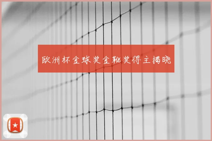 欧洲杯金球奖金靴奖得主揭晓