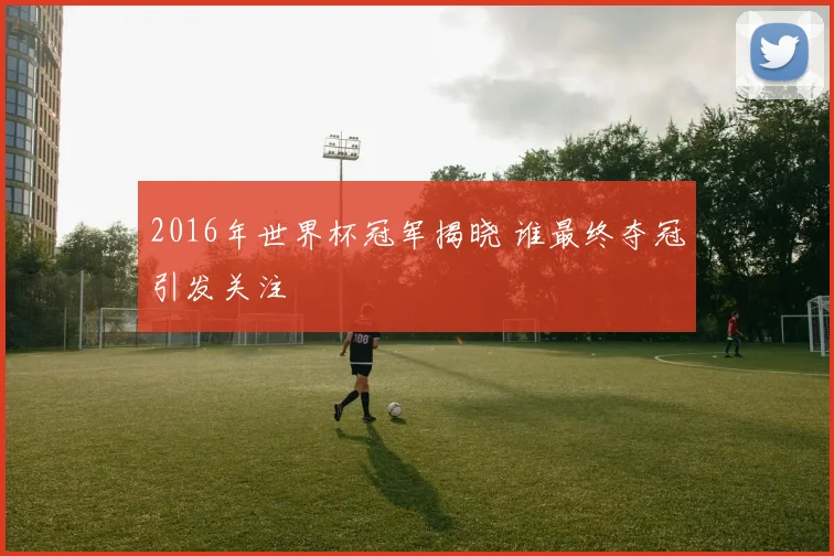 2016年世界杯冠军揭晓 谁最终夺冠引发关注